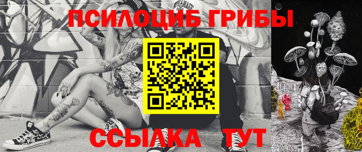 Псилоцибиновые грибы MAGIC MUSHROOMS  Вход с VPN  Псилоцибиновые грибы GOLDEN TEACHER  Когалым 